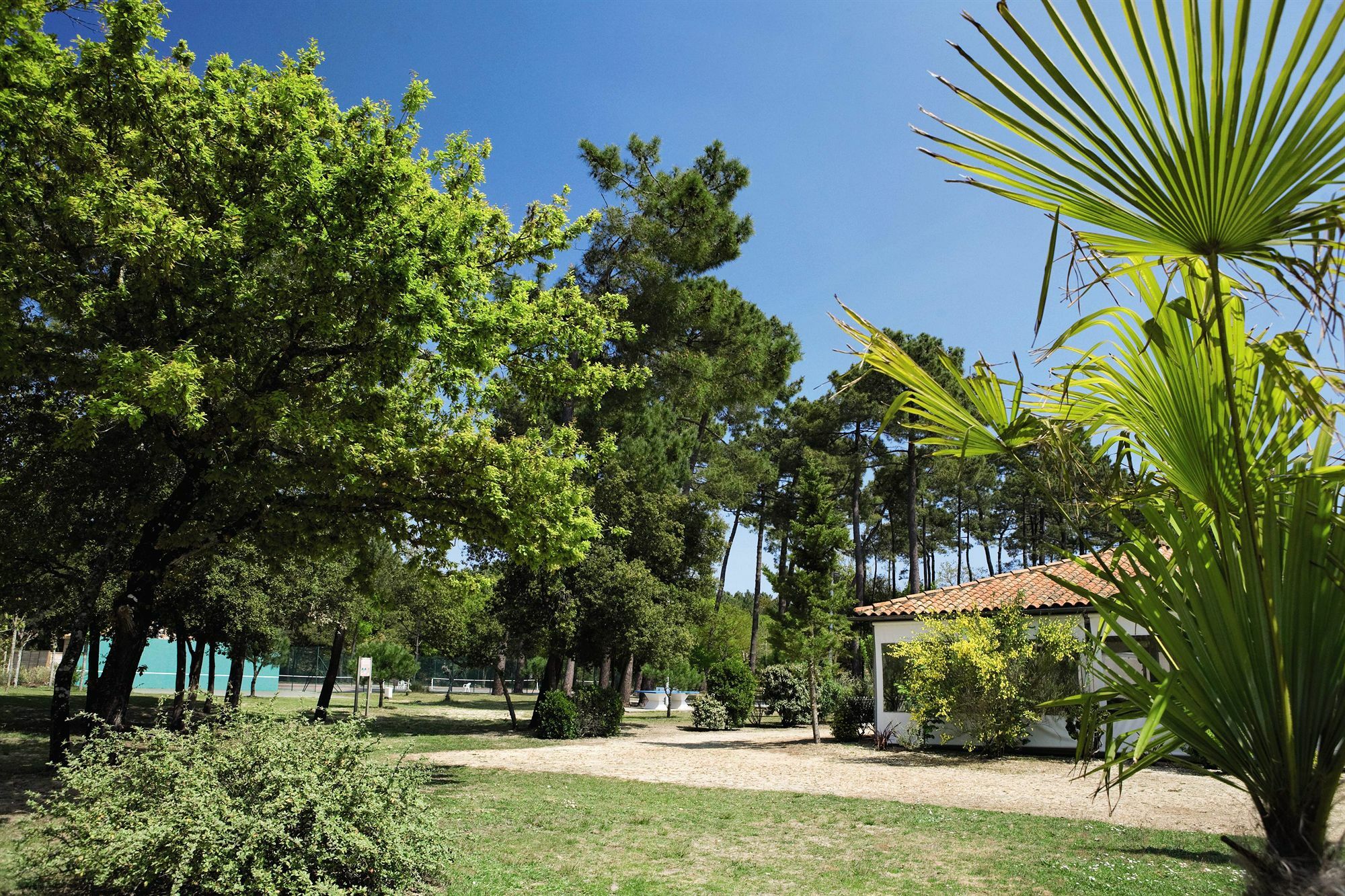 Hotel Belambra Clubs La Palmyre - Les Mathes Exterior foto